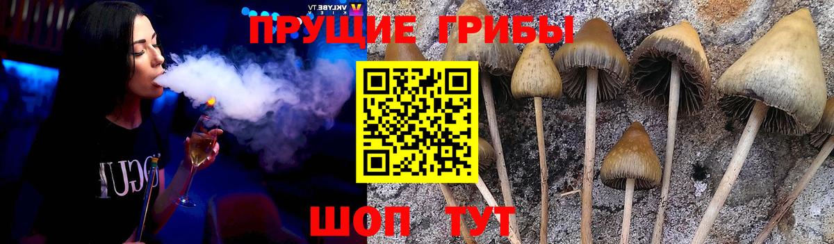 Мурманск  Галлюциногенные грибы GOLDEN TEACHER  Вход с VPN  Псилоцибиновые грибы мицелий 
